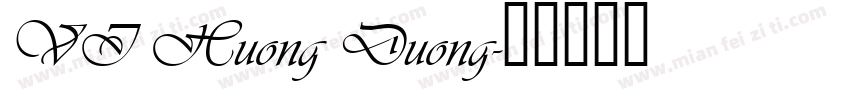 VI Huong Duong字体转换